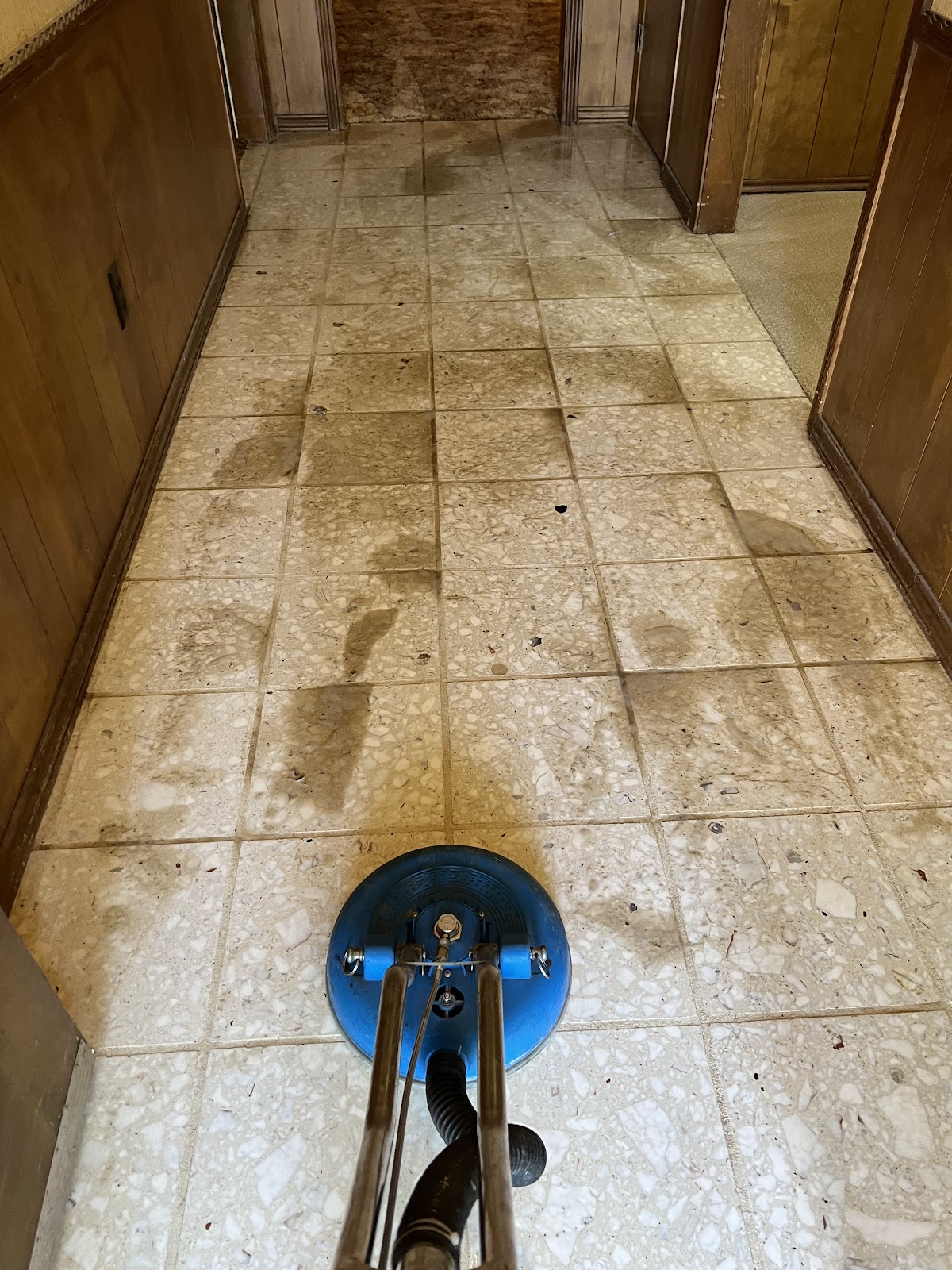Tile & Grout