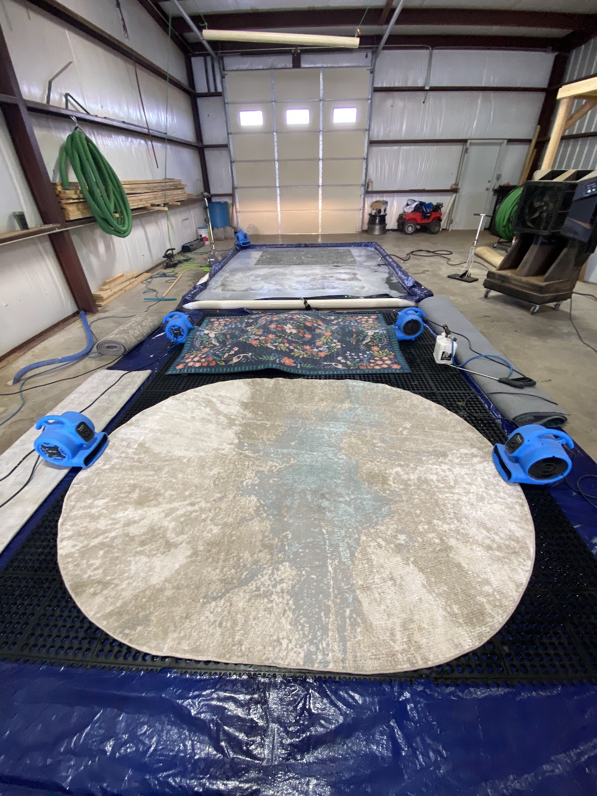 Area Rugs